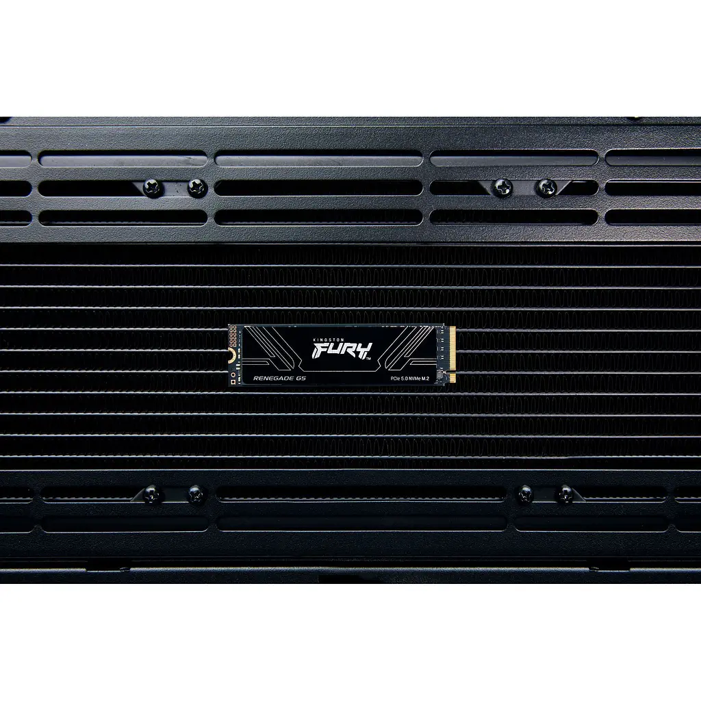 SSD накопичувач Kingston FURY Renegade G5 1TB (SFYR2S/1T0) [151769] - фото 6