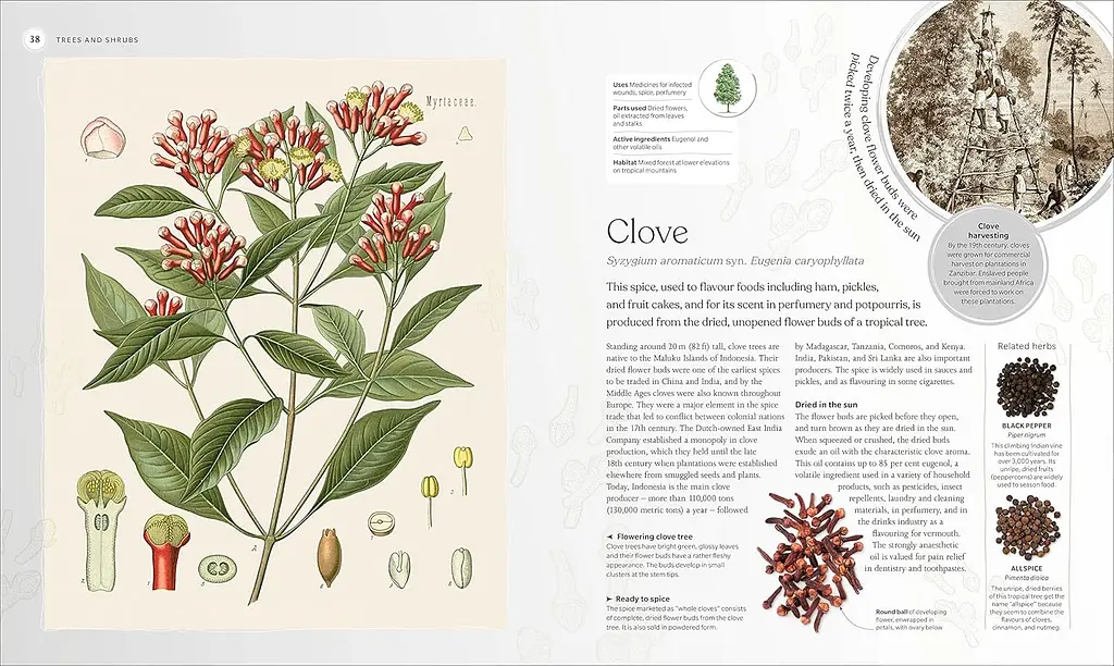 The Herb Book - фото 9