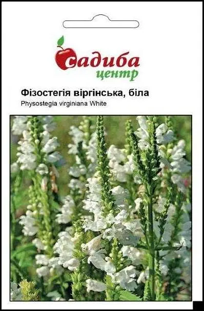 Фізостегія віргінська, біла, 0,1 г, Садиба Центр