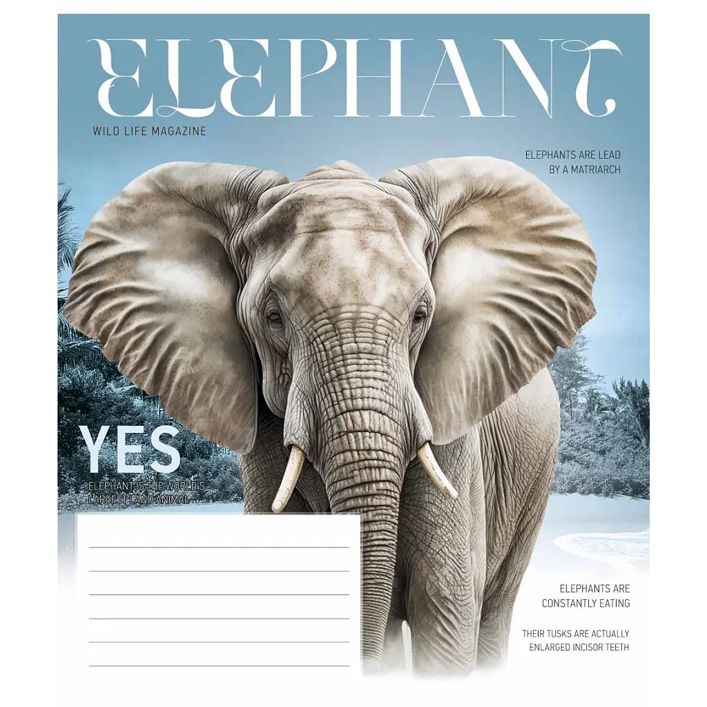 Зошит Школярик Fauna magazine 12 аркушів лінія (012-3428L), в асортименті - фото 3