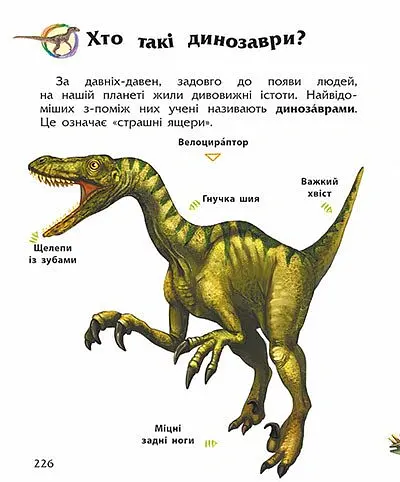 Енциклопедія дошкільника - Юлія Каспарова - фото 5