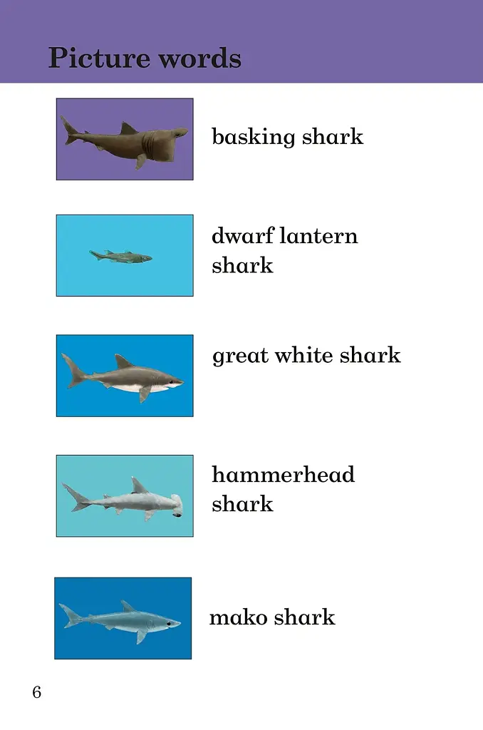 Ladybird Readers. Level 3. Sharks - фото 2