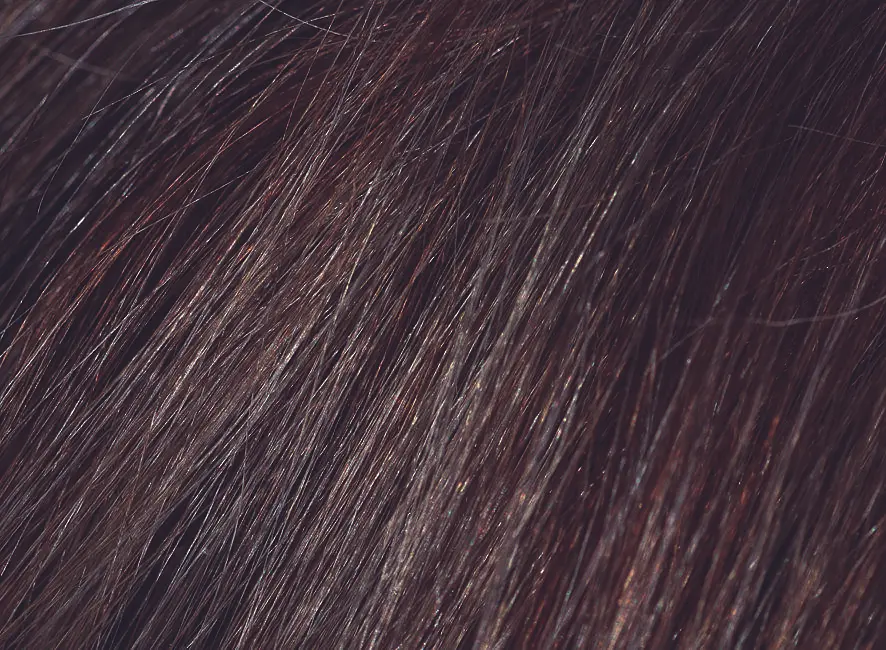Шампунь камуфлюючий Beardburys Men's Color Shampoo Dark Brown 3N темно-коричневий - фото 5