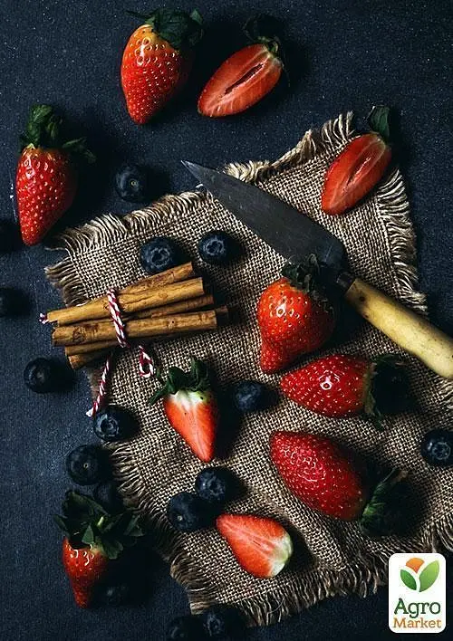 Саджанець Agro-Market Суницеполуниця Анастасія (середньо-пізній термін дозрівання) 5 шт. в пакуванні (37324) - фото 3