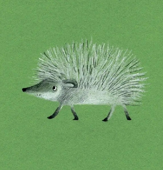 Forest Animals - Катерина Таберко - фото 6