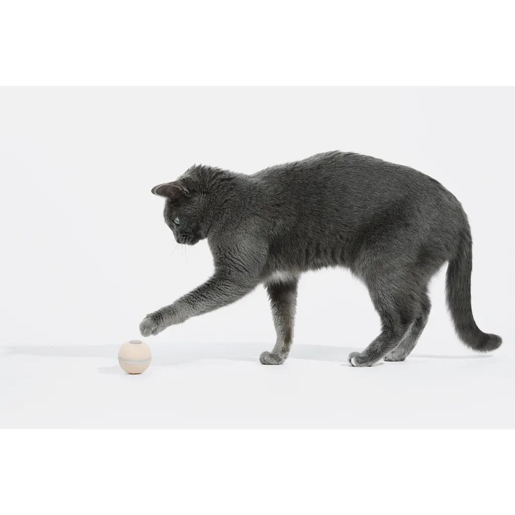 Іграшка для котів Cheerble Wicked Ball M3 (Apricot Beige) (CWQ02A) - фото 2