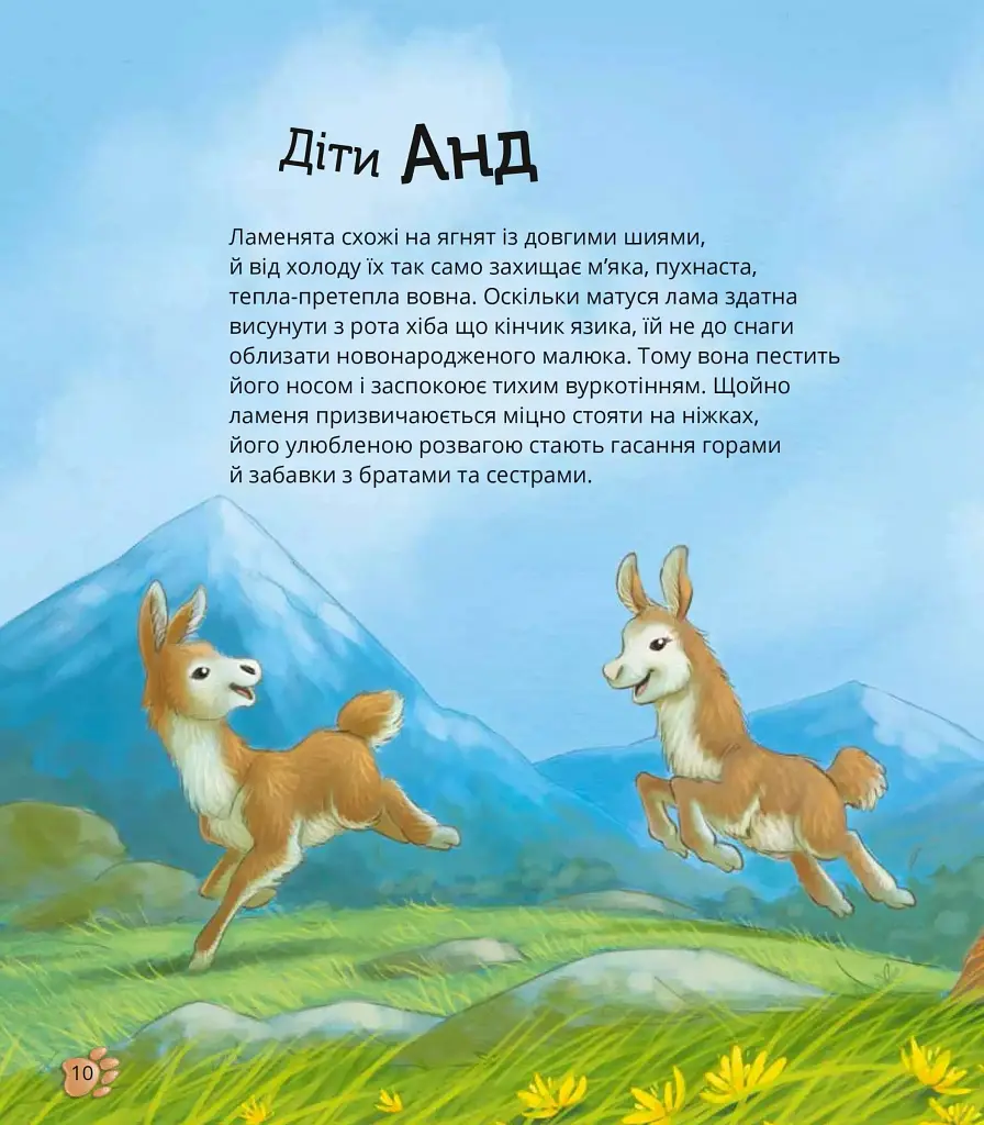 Наймиліші малюки тварин - Алехандро Альгарра - фото 11