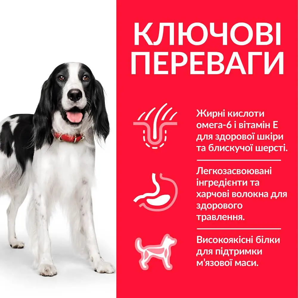 Сухой корм Hill's SP Adult Medium Breed для взрослых собак средних пород с тунцем и рисом 12 кг - фото 3