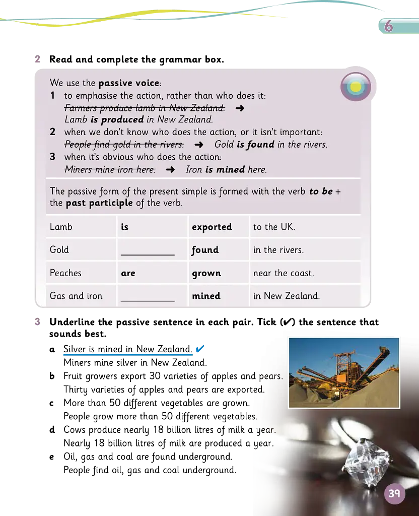 Grammar Goals. Level 5. Pupil's Book + eBook - фото 3