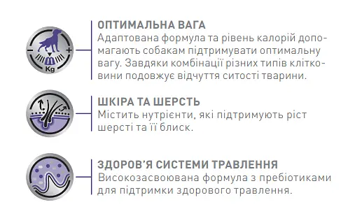 Вологий корм для дорослих кастрованих собак Royal Canin Neutered Adult Dog, шматочки в соусі, 100 г (1505001) - фото 4
