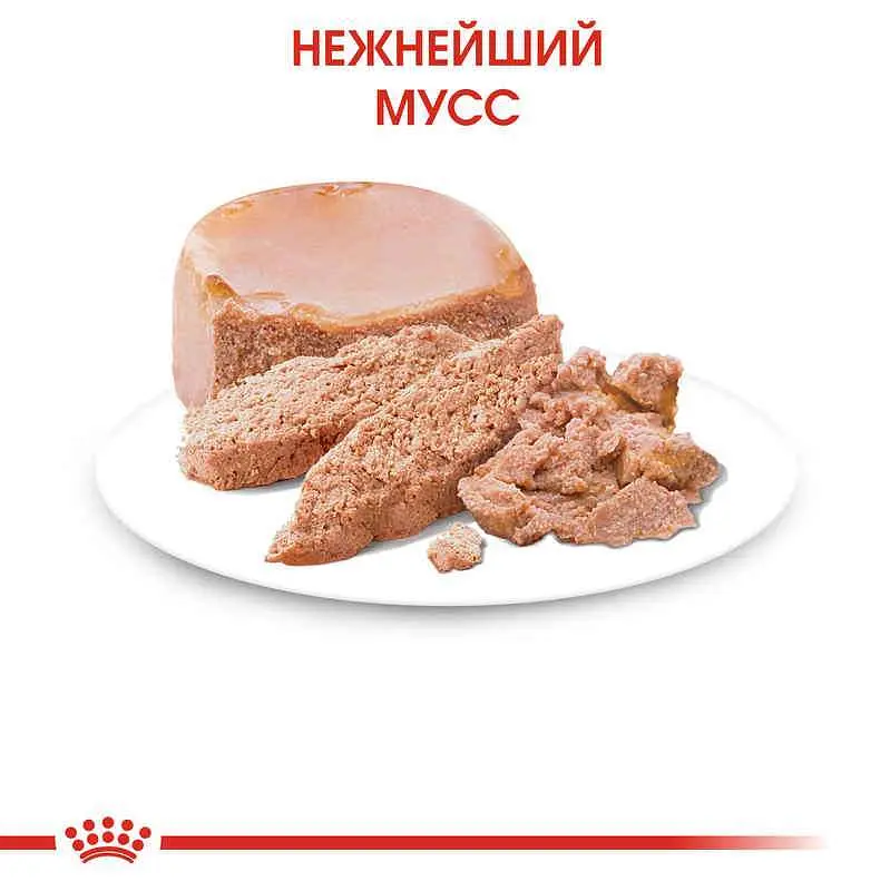 Вологий корм для кошенят до 4 місяців Royal Canin Babycat Instinctive, 195 г - фото 4