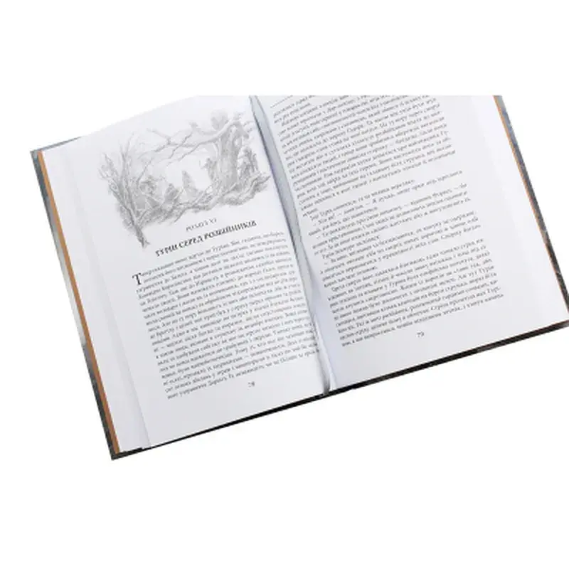 Книга Сказання про дітей Гуріна - Джон Р. Р. Толкін Астролябія (9786176641957) - фото 5