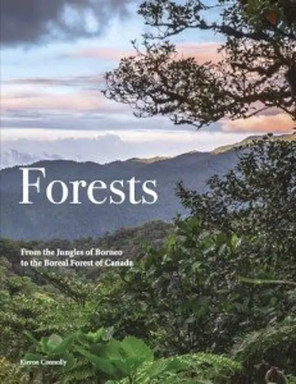 Forests Amber Books