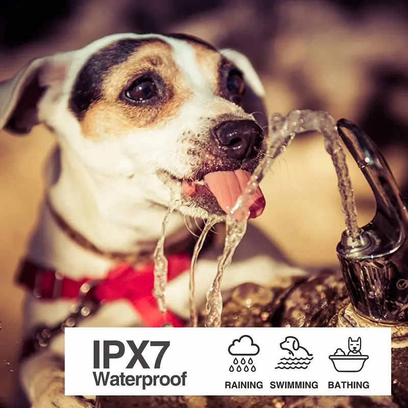 Електронний нашийник для маленьких собак дресирувальний з трьома видами впливу DOBE DB900X (101051)Электронный ошейник для маленьких собак дрессировочный с тремя видами воздействия DOBE DB900X (101051) - фото 6