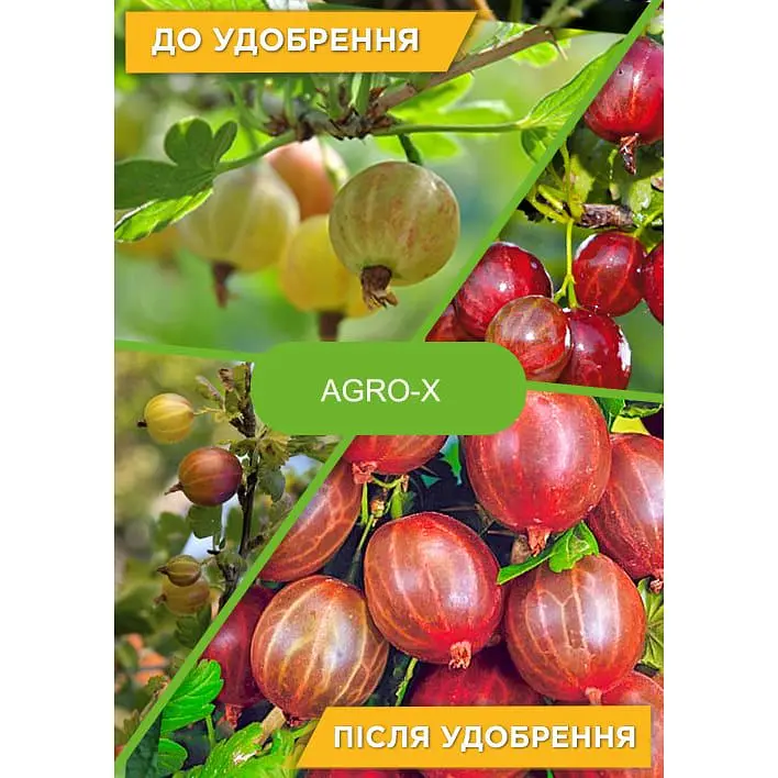 Минеральное удобрение Agro-x Plant builder Плант билдер для ягодных кустов и деревьев 80 г (47655) - фото 8