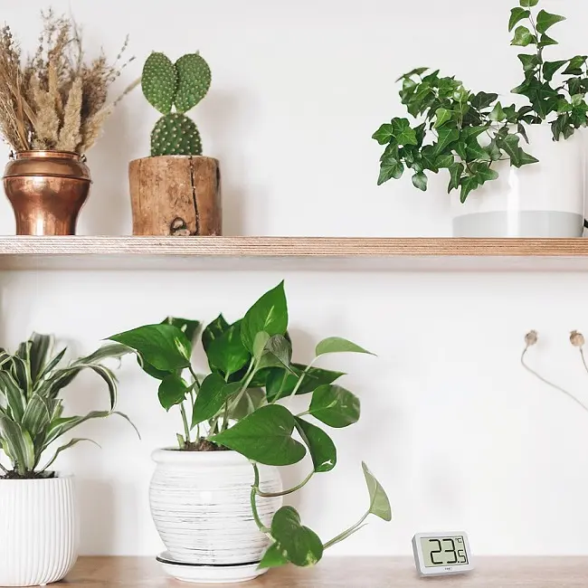 Термометр цифровий TFA 30106502 - фото 4