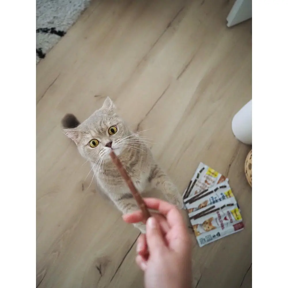 Ласощі для котів GimCat Sticks 4 шт. (індичка та кролик) - фото 5