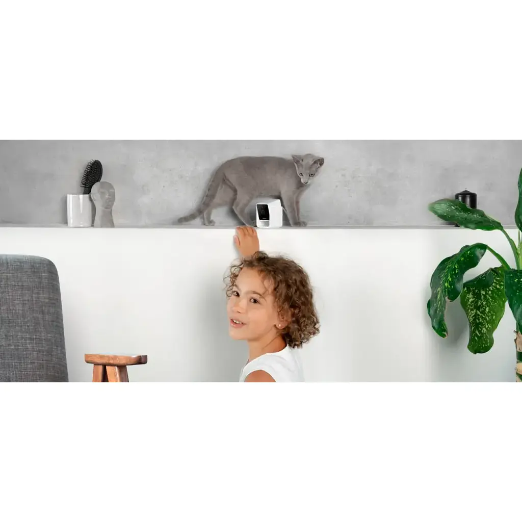 Камера видеонаблюдения за домашними животными Petcube Cam CC10US [87035] - фото 9