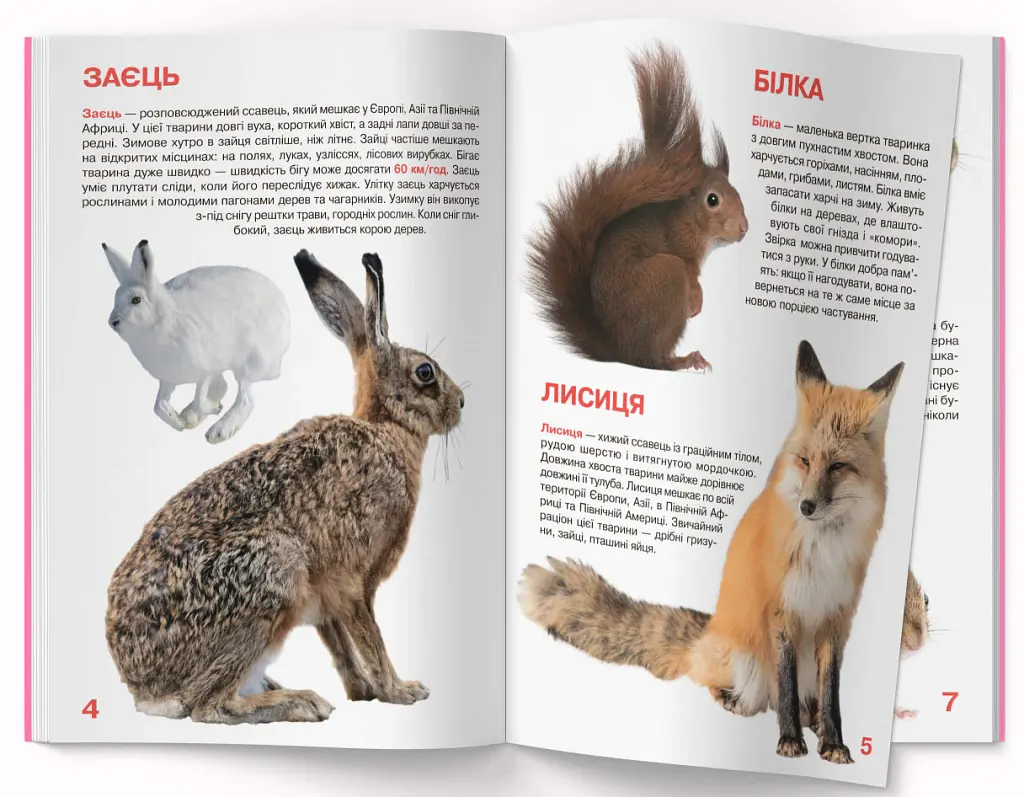 Велика книжка. Дикі тварини - фото 2