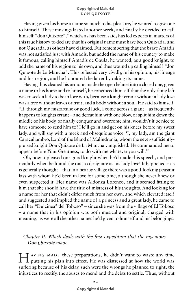 Don Quixote - фото 6