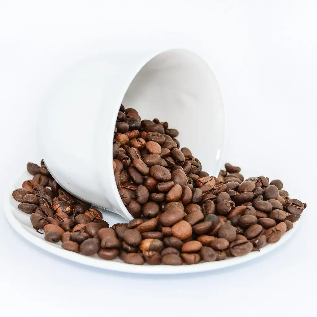 Кавомолка Esperanza EKC002K Lungo black - фото 3