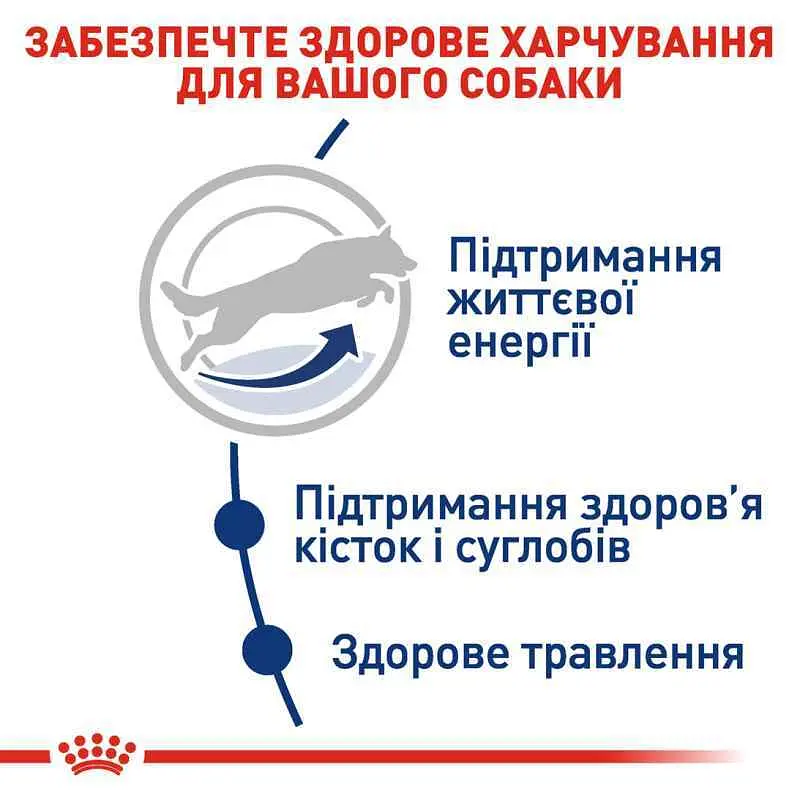 Сухой корм для собак крупных пород старше 5 лет Royal Canin Maxi Adult 5+, 4 кг (3008040) - фото 5