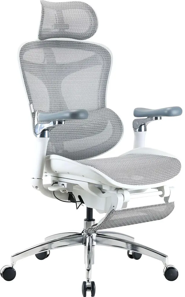 Офісне крісло Sihoo DORO C300 Pro Mesh White with footrest (DORO-C300-PRO-M102-JT) - фото 2