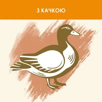 Сухий корм для кішок Purina Cat Chow Adult з качкою 1.5 кг (7613035394117) - фото 5