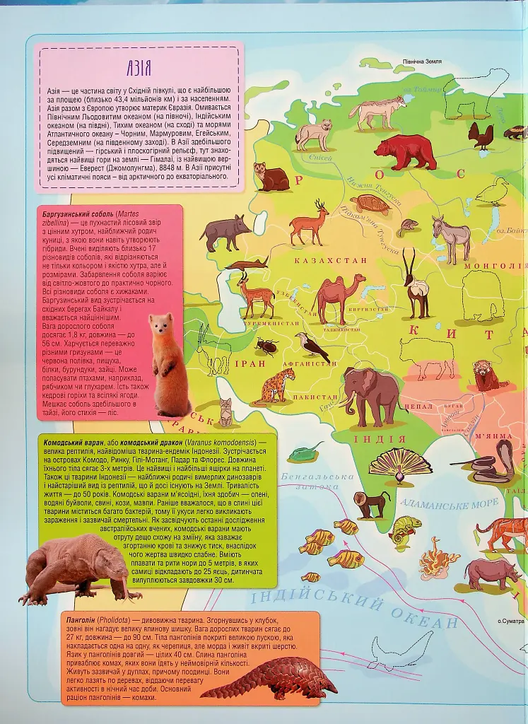 Атлас. Тварини семи континентів - фото 4