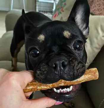 Натуральні ласощі для зубів собак WHIMZEES Dental Treats Veggie Sausage, S 28 шт. - фото 3