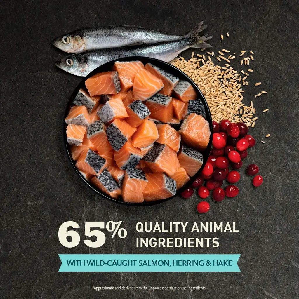 Сухий корм для кішок ACANA Bountiful Catch 4.5 кг (0064992714444) - фото 5