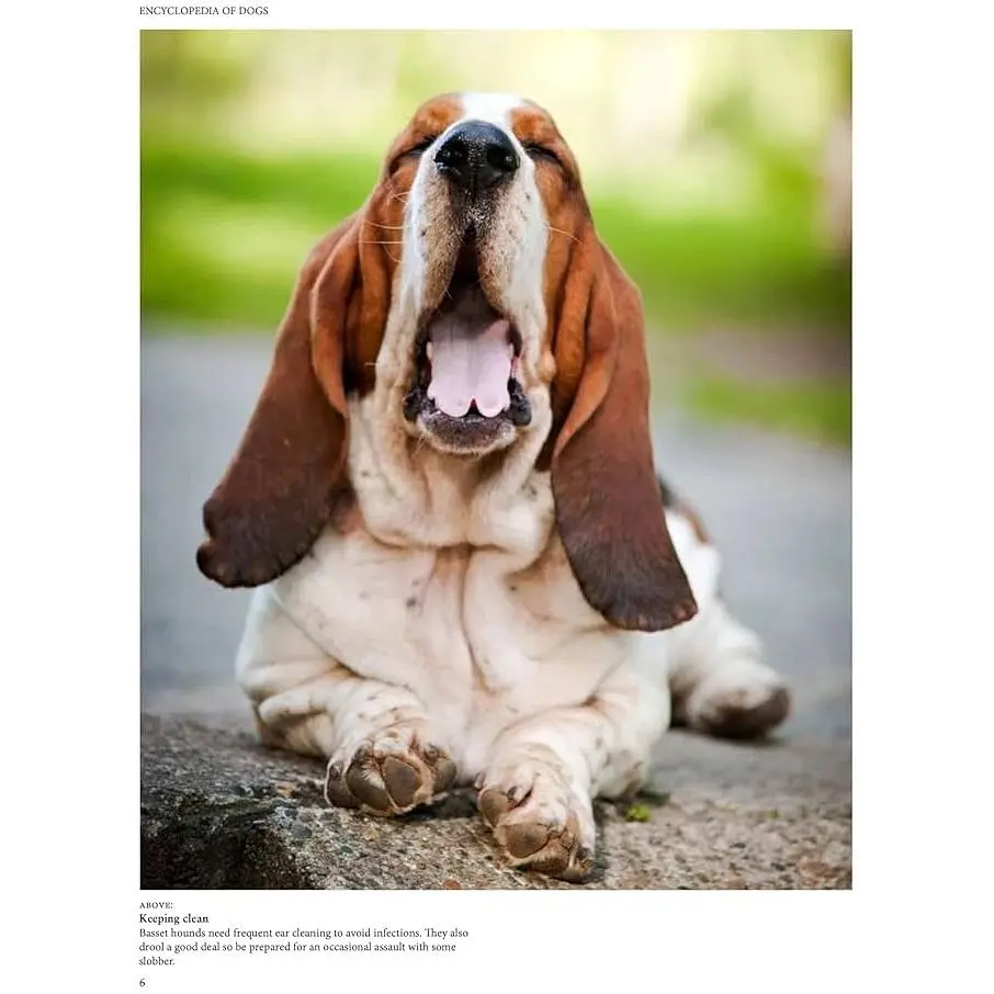 Encyclopedia of Dogs - Джексон Том - фото 3