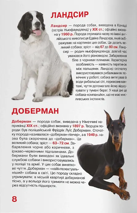 Велика книжка. Службові собаки - Олег Зав'язкин - фото 4