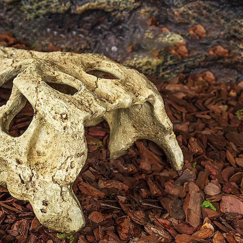 Крокодилячий череп Repti-Zoo Crocodile Skull M ERS34M 18x10x5,5 см - декоративне укриття для тераріуму та акваріуму - фото 6