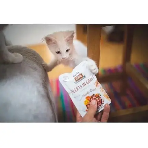 Вологий корм Brit Care Cat Pouch для котів філе в соусі качка 85 г - фото 3