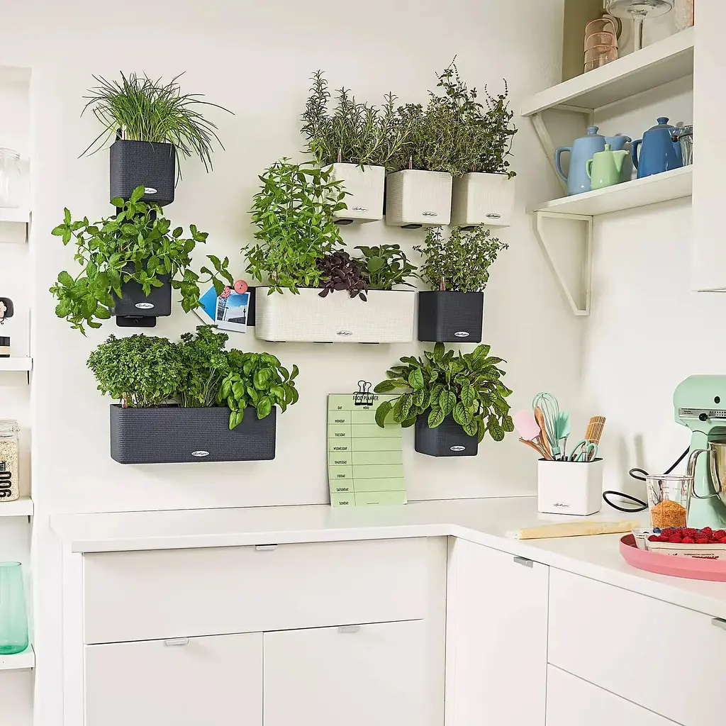 Комплект вазонів з кріпленням Lechuza Green Wall Home Kit Color 48х6х14 см сірий (13399) - фото 6
