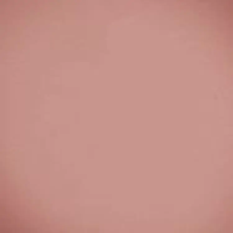 Компактні рум'яна BeYu Velvet Blush 48 4 г - фото 2