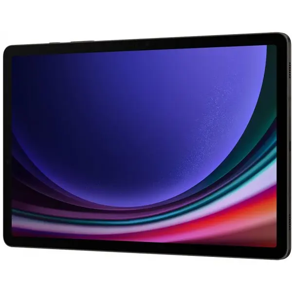 Планшет Samsung Galaxy Tab S9 5G 8/128GB Graphite (SM-X716BZAA) Global version - фото 5
