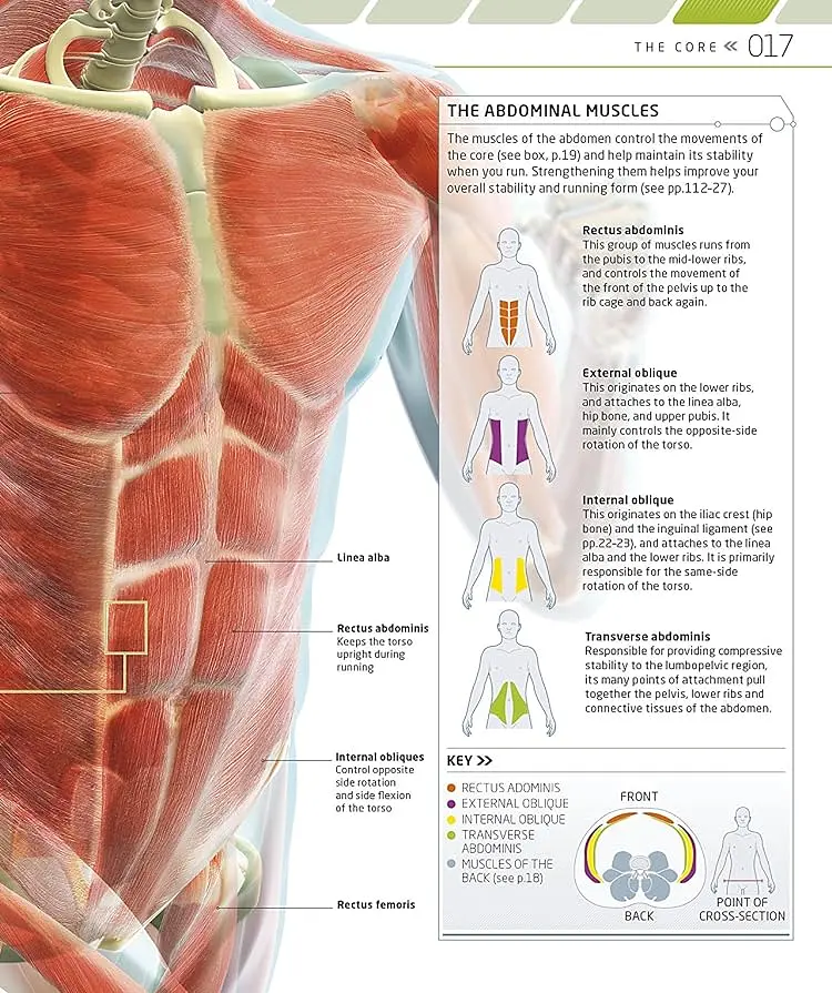 The Complete Running and Marathon Book - фото 3
