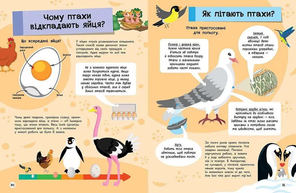 Велика енциклопедія для чомусика Ранок N901723У shop (9786170976307) - фото 3