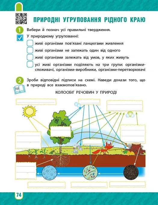 Я досліджую світ. 4 клас. Робочий зошит у 2-х частинах. Частина 2 - Тетяна Павлова - фото 10