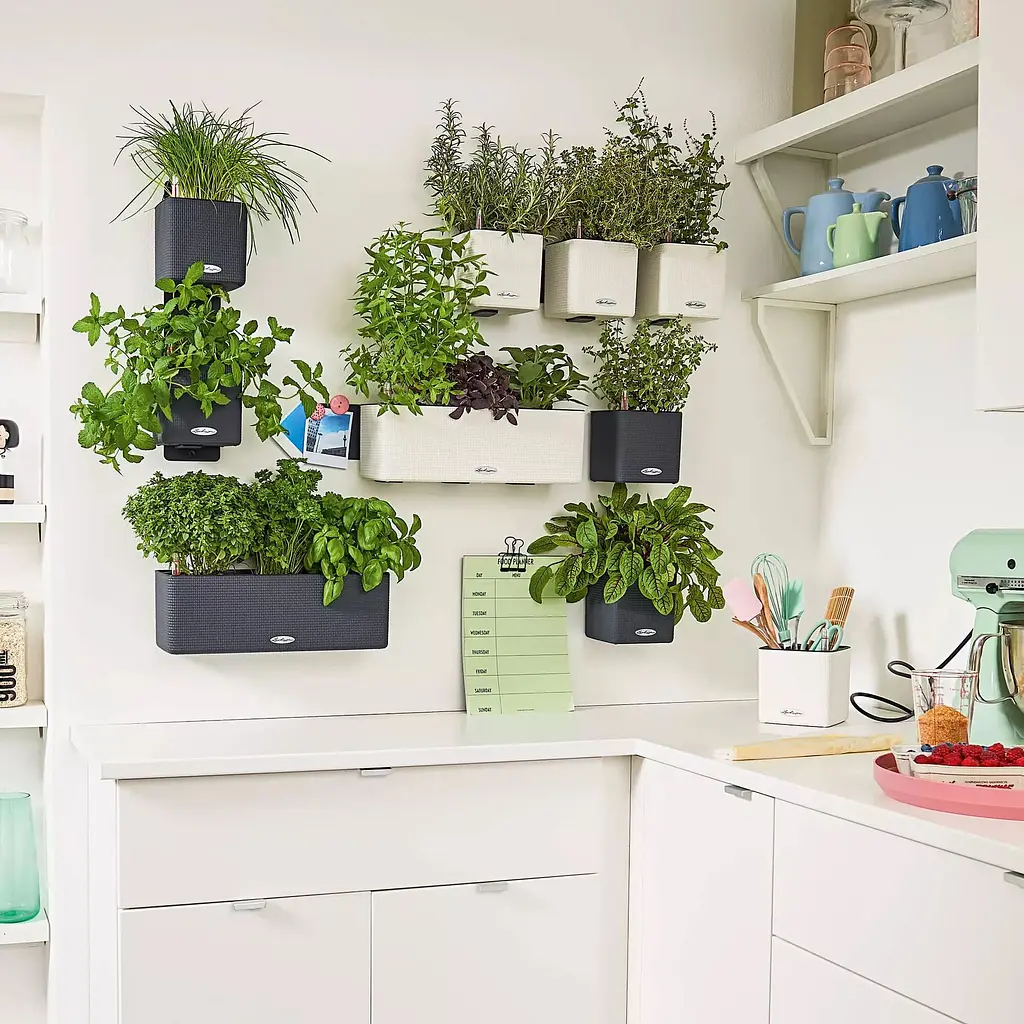 Комплект вазонів з кріпленням Lechuza Green Wall Home Kit Color 48х6х14 см сірий (13399) - фото 6