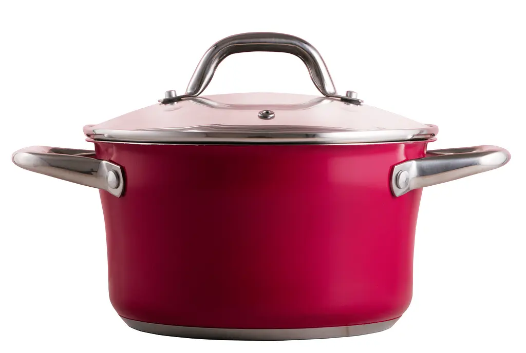 Каструля PR-2403-16 CAMELLIA PEPPER 16 х 9.5 см 1.6 л