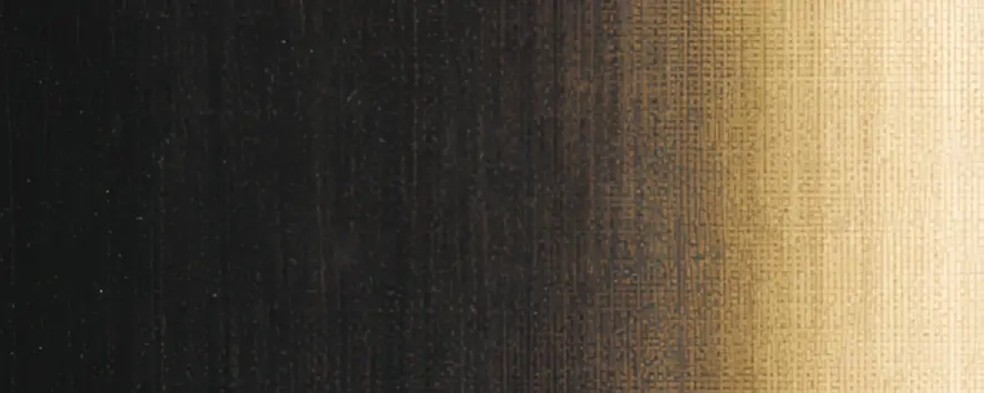 Олійна фарба Sennelier, 40 мл, професійна, S1, Коричневий Ван Дейка глибокий (Van Dyck brown deep) - фото 2