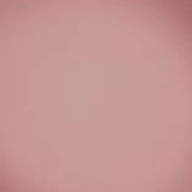 Компактные румяна BeYu Velvet Blush 43 4 г - фото 2