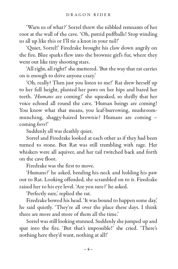 Dragon Rider. Book 1 - фото 5