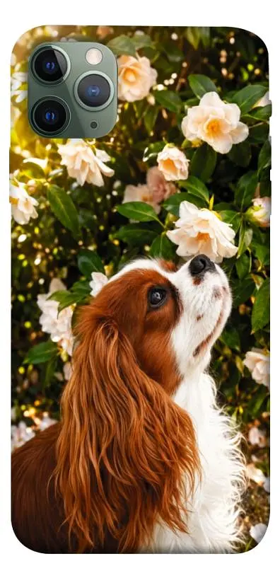 TPU чохол Demsky Flower spaniel для Apple iPhone 11 Pro Max (6.5")