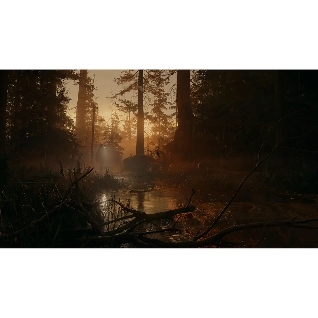 Ключ активации Microsoft Alan Wake 2 Deluxe Edition для Xbox Series S/X - фото 8
