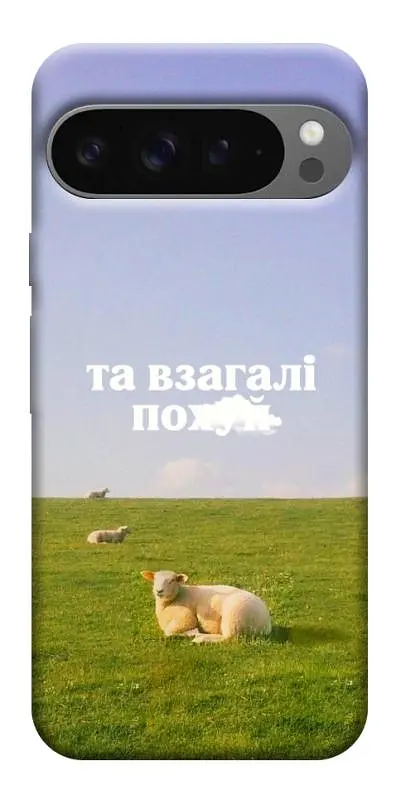 Чохол Demsky Та взагалі.... для Google Pixel 10 Pro XL