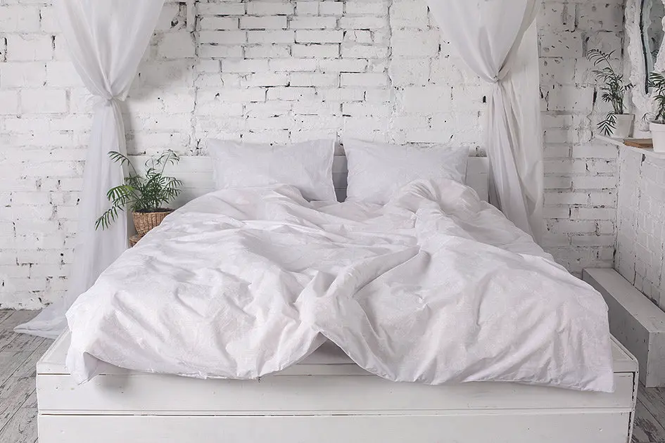 Підковдра Ecotton полуторна 150х215 см Бязь рис.20-0256 White білий (5393)